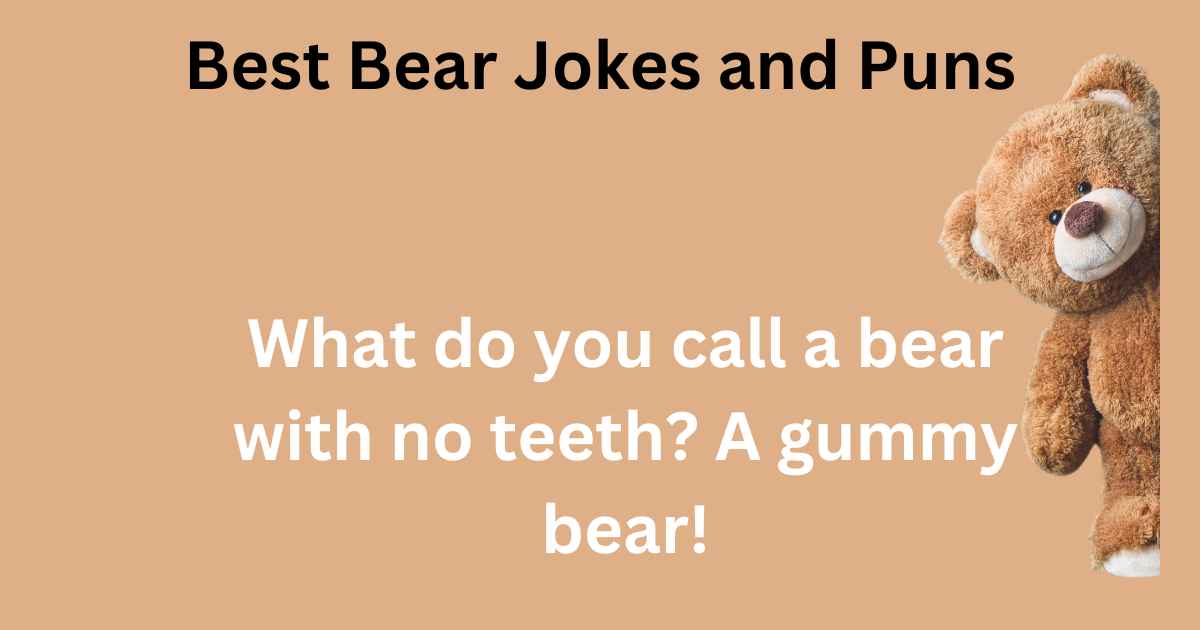 Best Bear Jokes and Puns